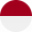 Logo Indonesia - IDN
